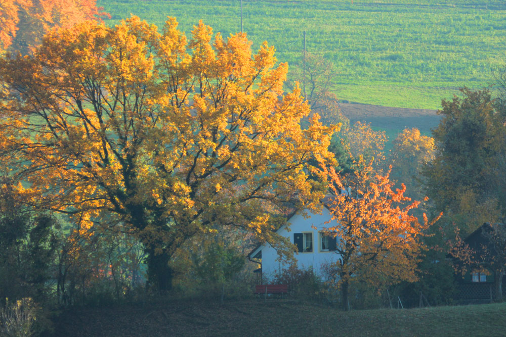 Herbst07